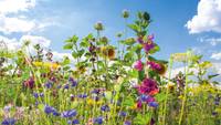 Quelle: Adobe Stock