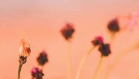 Quelle: unsplash.com/hristina Deravedisian